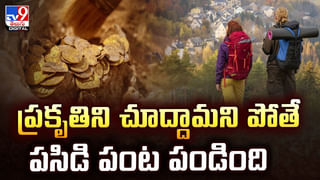 నెల రోజులు రెగ్యులర్‌గా అల్లం తినండి.. జరిగింది చూసి మీరే షాకవుతారు