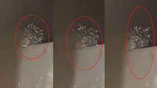 Viral Video: ఇది చూశాక కూడా  రన్నింగ్‌ రైలు ఎక్కే దమ్ముందా?… సోషల్ మీడియలో వీడియో వైరల్