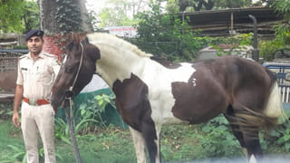 Operation Sindoor: పాక్‌తో యుద్ధం వేళ ఆ చిన్నారికి సైన్యం సెల్యూట్‌… ఇంతకీ ఏం చేసాడంటే..