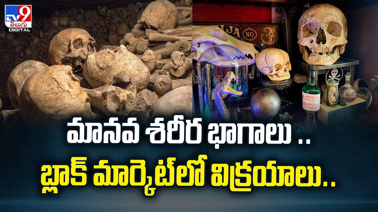 మానవ శరీర భాగాలు .. బ్లాక్‌ మార్కెట్‌లో విక్రయాలు..