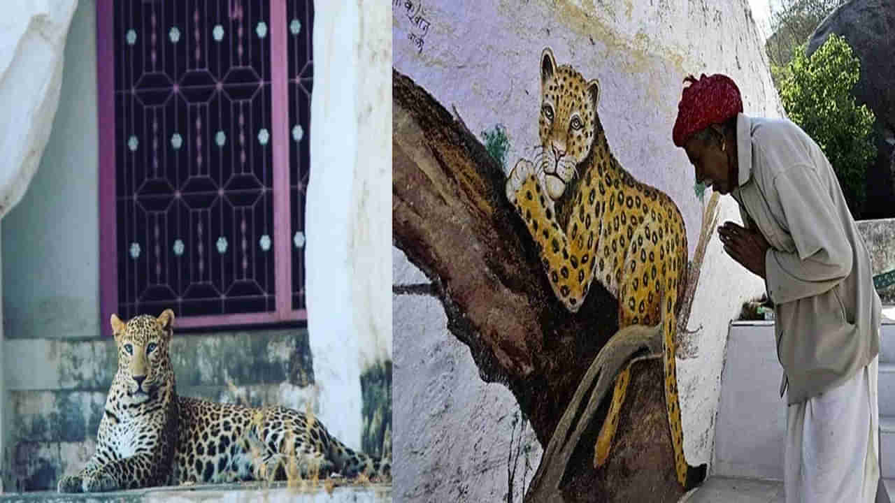 Unique Village: మన దేశంలో ఈ గ్రామం వెరీ వెరీ స్పెషల్.. మనుషుల మధ్య తిరిగే చిరుతలు.. గ్రామానికి కావలా ఇవే..