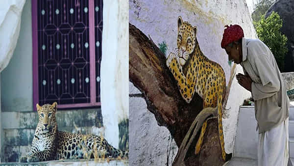 Unique Village: మన దేశంలో ఈ గ్రామం వెరీ వెరీ స్పెషల్.. మనుషుల మధ్య తిరిగే చిరుతలు.. గ్రామానికి కావలా ఇవే..