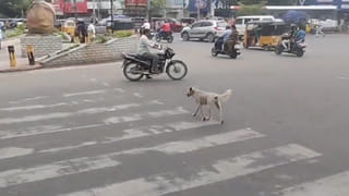 సీఎం ఓఎస్డీని.. డ్యామిట్ దెబ్బకు కథ అడ్డం తిరిగింది.. ఏపీకి చెందిన మాజీ క్రికెటర్ అరెస్ట్..