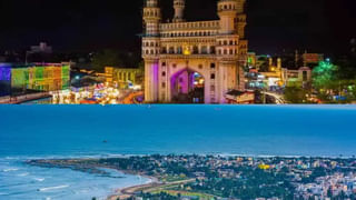 చూడటానికి మొక్కజొన్న పంటే అది.. కానీ దగ్గరకెళ్తే పరేషాన్‌ పక్కా!