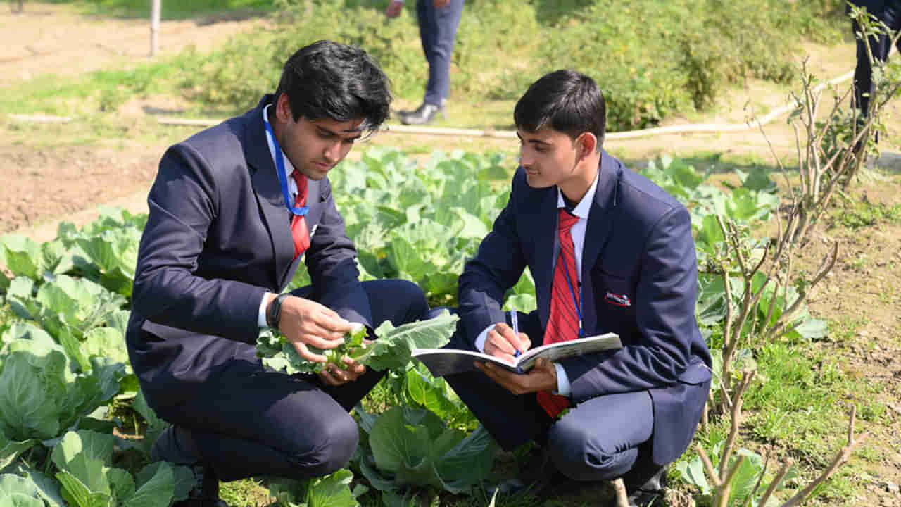 ICAR AIEEA 2025 Notification: అగ్రికల్చర్ యూనివర్సిటీల్లో వ్యవసాయ కోర్సుల్లో ప్రవేశాలకు నోటిఫికేషన్‌ విడుదల..