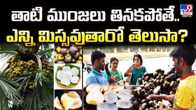 తాటి ముంజలు తినకపోతే.. ఎన్ని మిస్సవుతారో తెలుసా ?? తాటి ముంజలు తినకపోతే.. ఎన్ని మిస్సవుతారో తెలుసా ??