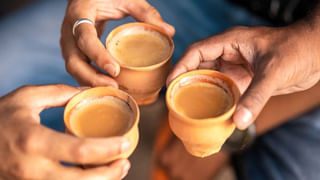 Kitchen Hacks: పచ్చళ్ళ సీజన్ కదా వెల్లుల్లి రెమ్మల తొక్కలు తీయడానికి కష్టపడుతున్నారా .. ఈ సింపుల్ టిప్స్ ట్రై చేయండి..