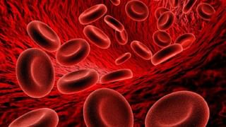 Hair loss: జుట్టు రాలిపోయి.. ఎప్పుడూ నీరసంగా ఉంటున్నారా.. మీ బాడీలో ఈ లోపం ఉన్నట్టే..