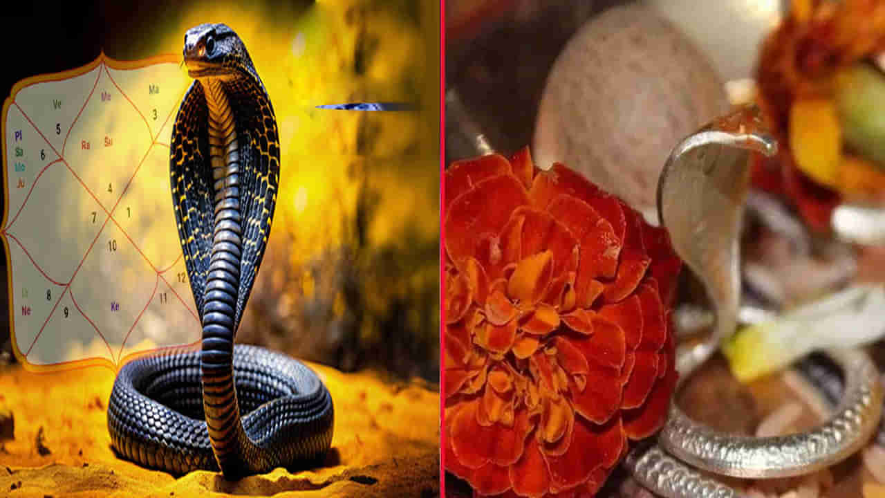 Kaala Sarpa Dosham: జాతకంలో కాలసర్ప దోషం ఉంటే పదేపదే ఇలాంటి కలలు వస్తాయట. ఈ పరిహారాలతో దోషాన్ని వదిలించుకోండి..