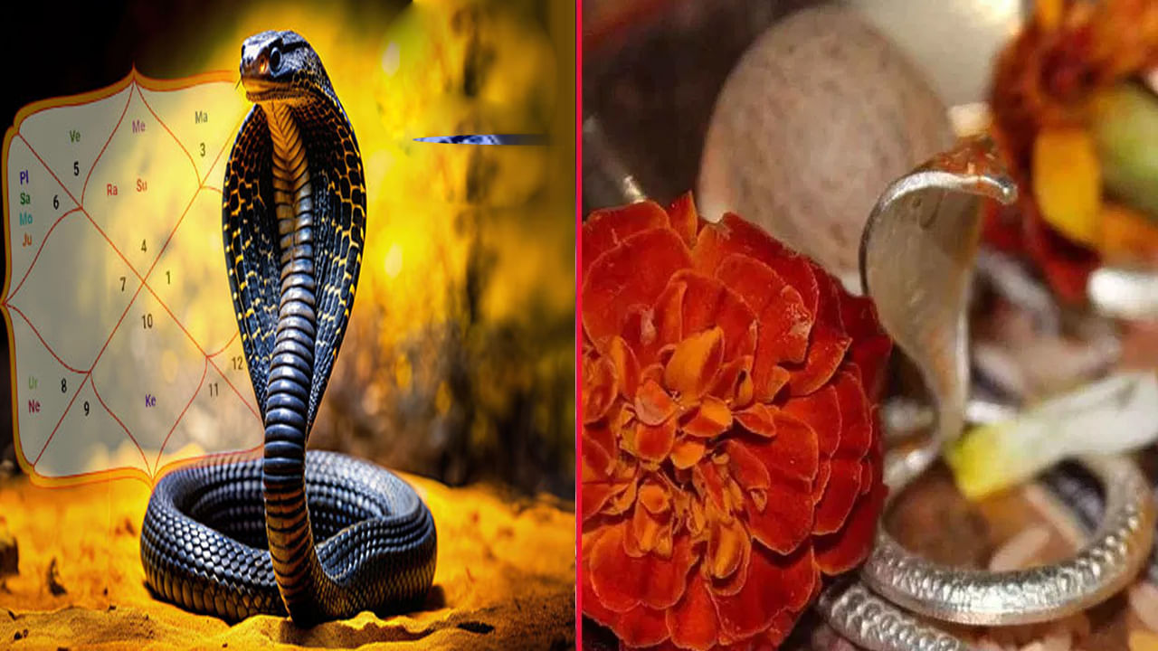 Kaala Sarpa Dosham: జాతకంలో కాలసర్ప దోషం ఉంటే పదేపదే ఇలాంటి కలలు వస్తాయట. ఈ పరిహారాలతో దోషాన్ని వదిలించుకోండి..
