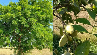 గజకేసరి రాజయోగం : ఈ నాలుగు రాశులకు కూర్చొని తినేంత డబ్బు!