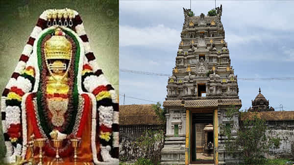 Diabetes Cure Temple: ఈ ఆలయం నేటికీ సైన్స్ చేధించని మిస్టరీ.. షుగర్ వ్యాధి నయం చేసే చీమలు.. దేశ విదేశాల నుంచి భక్తుల క్యూ