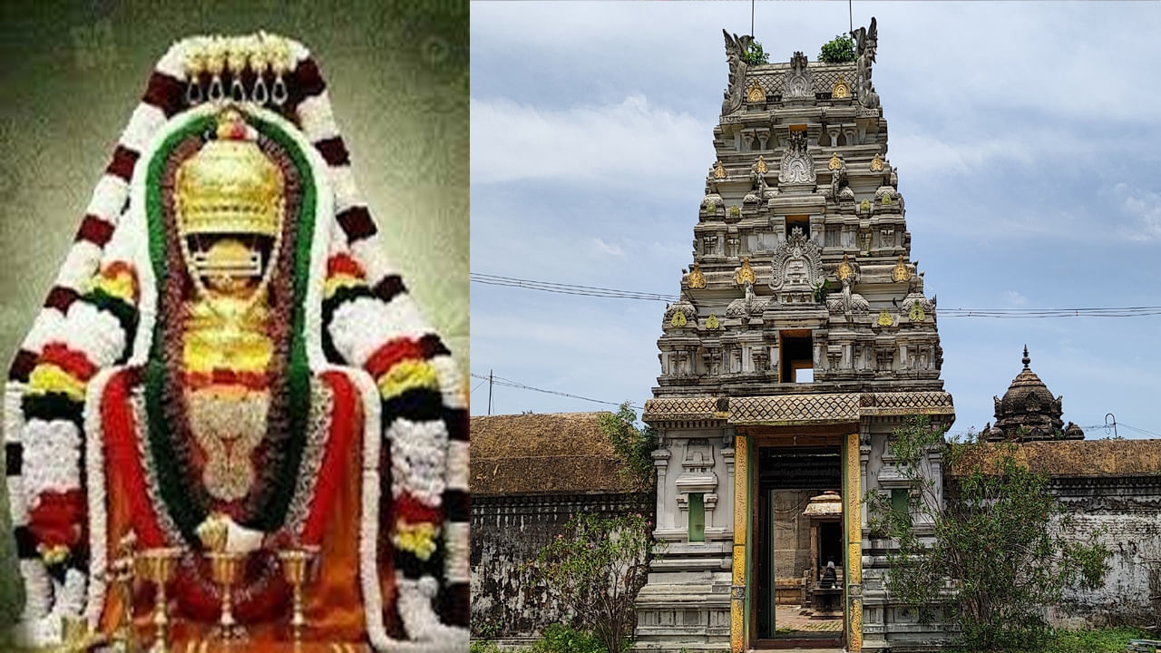 Diabetes Cure Temple: ఈ ఆలయం నేటికీ సైన్స్ చేధించని మిస్టరీ.. షుగర్ వ్యాధి నయం చేసే చీమలు.. దేశ విదేశాల నుంచి భక్తుల క్యూ