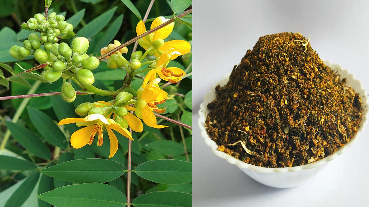 శరీరానికి ఏదైనా గాయం అయినప్పుడు ఆగ‌కుండా రక్తం కారుతూ ఉంటే, ఈ చెట్టు ఆకులను దంచి క‌ట్టుగా క‌ట్ట‌డం వ‌ల్ల గాయాల నుండి ర‌క్తం కార‌డం త‌గ్గుతుంది. ఇలా క‌సివింద చెట్టుతో మ‌నం బోలెడు ప్ర‌యోజ‌నాల‌ను పొంద‌వ‌చ్చు. క‌నుక ఈ మొక్క ఎక్క‌డ క‌నిపించినా వ‌ద‌ల‌కుండా ఇంటికి తెచ్చుకోవాలని ఆరోగ్య నిపుణులు చెబుతున్నారు. 