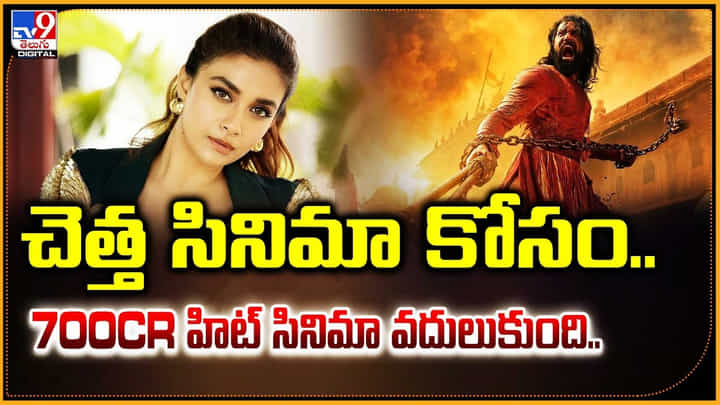 చెత్త సినిమా కోసం.. 700cr హిట్ సినిమా వదులుకుంది.. చెత్త సినిమా కోసం.. 700cr హిట్ సినిమా వదులుకుంది..