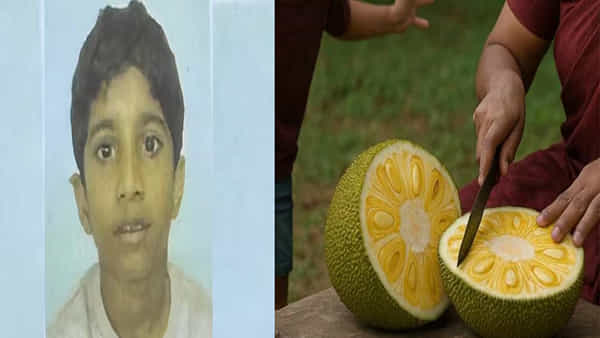 Kerala: తల్లి పనసకాయ కోస్తుండగా ప్రమాదవశాత్తు కత్తిపై పడిన బాలుడు.. హాస్పిటల్కు తీసుకెళ్లేలోపే!