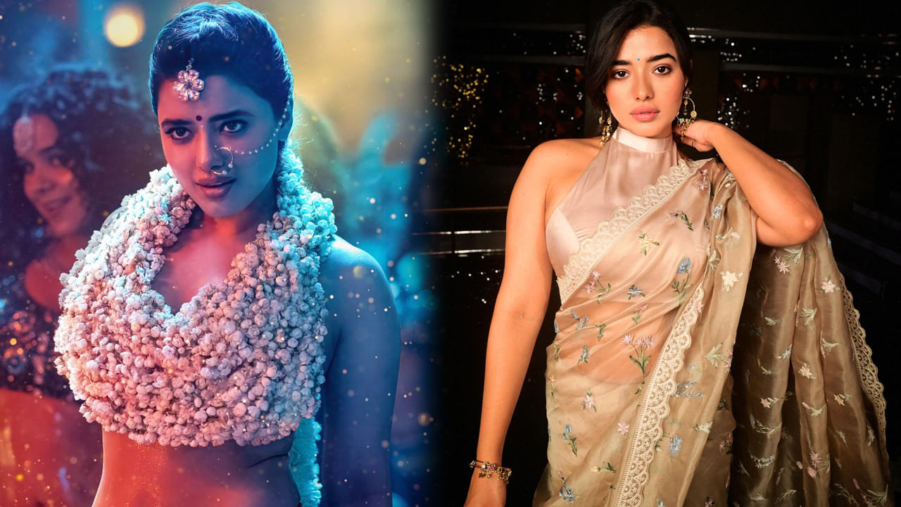 Ketika Sharma: ఆ సాంగ్ వివాదం వల్ల నేను ఓ విషయం నేర్చుకున్నా.. కేతిక శర్మ క్రేజీ కామెంట్స్