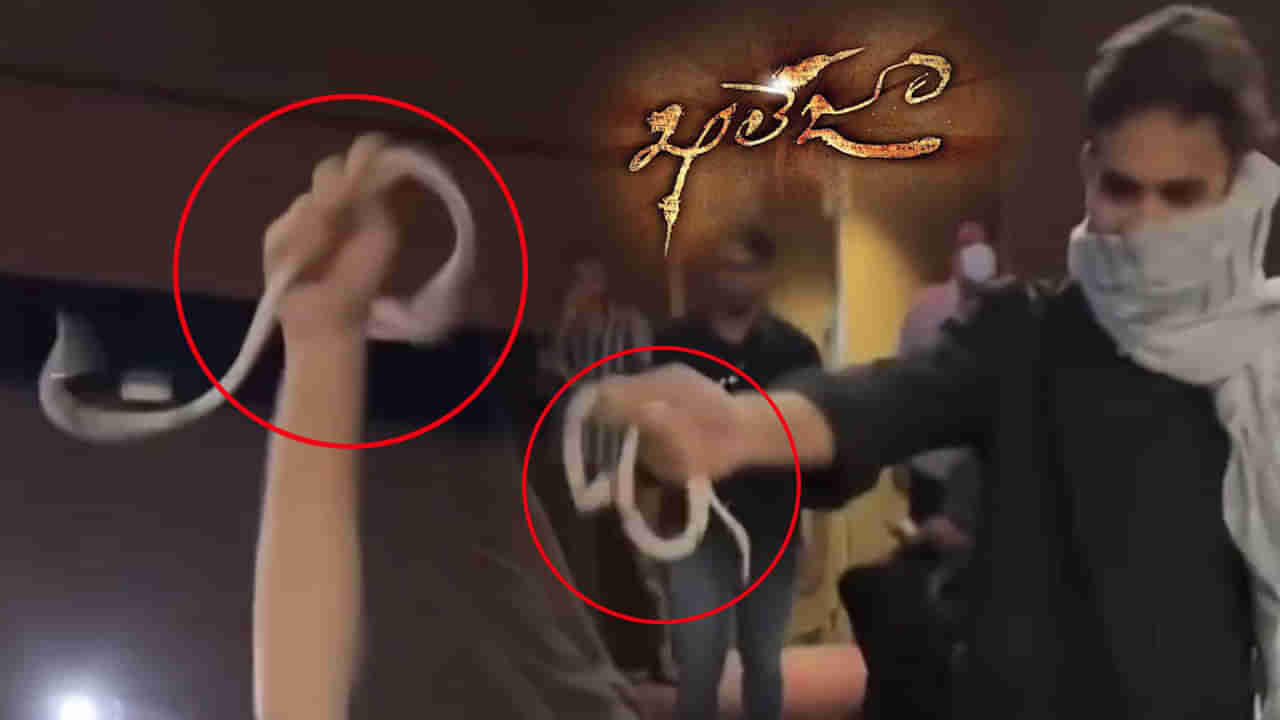 Vijayawada: ఖలేజా రీ రిలీజ్ - థియేటర్‌లోకి పామును తీసుకొచ్చిన మహేశ్ అభిమాని