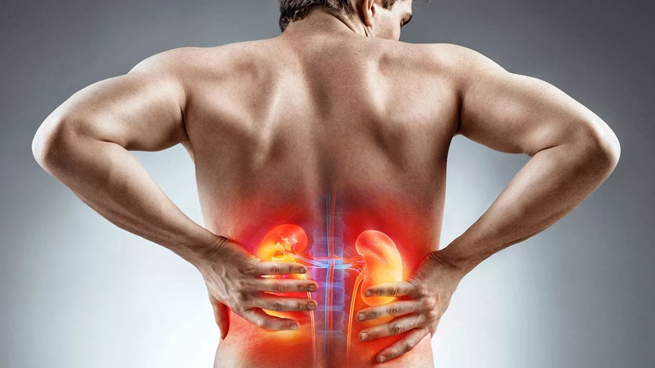 Kidney Health: వేసవిలోనే ఎక్కువగా కిడ్నీలో రాళ్లు ఎందుకు వస్తాయో తెలుసా..?