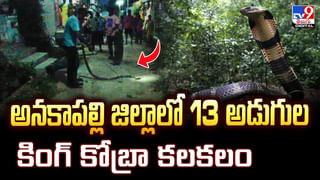 పురుషులకు ఈ మొక్క ఓ వరం.. కనిపిస్తే వదలకండి..!