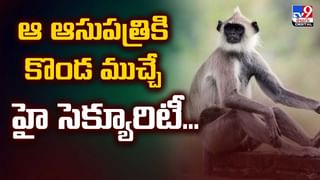వావ్ ఈ ఉబర్ క్యాబ్ లో స్నాక్స్ మాత్రమే కాదండయో.. వీడియో