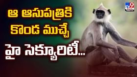 ఆ ఆసుపత్రికి కొండముచ్చే హై సెక్యురిటీ వీడియో ఆ ఆసుపత్రికి కొండముచ్చే హై సెక్యురిటీ వీడియో