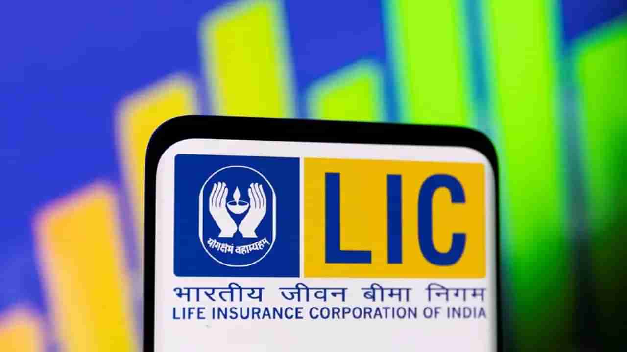 LIC Schemes: ఆ స్కీమ్స్ను రీలాంచ్ చేసిన ఎల్ఐసీ.. అదిరే లాభాలు మీ సొంతం