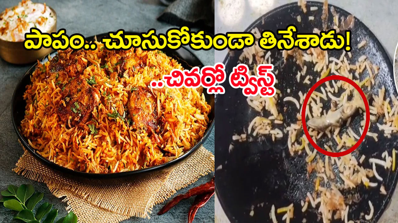 చికెన్‌ బిర్యానీలో బల్లి.. 'బాగా రోస్ట్‌ అయిందిగా.. తినేయ్‌' అన్న రెస్టారెంట్ యజమాని! చివరకు..