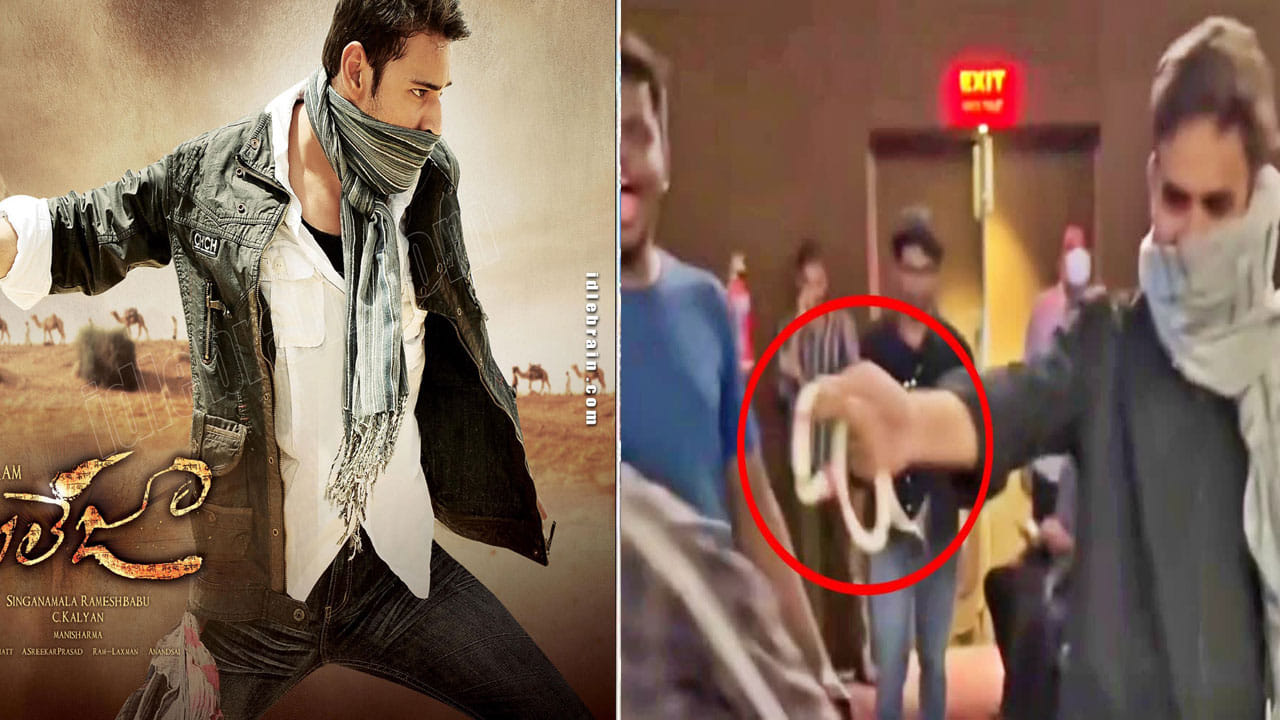 Viral Video: ఏకంగా పాముతోనే థియేటర్లోకి ఎంట్రీ ఇచ్చిన మహేశ్బాబు ఫ్యాన్... అభిమానం ఉండాలి కానీ మరీ ఇంతలానా?
