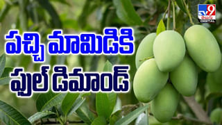 పల్లీలు నువ్వులు కలిపి తింటే ఎన్ని లాభాలో ??