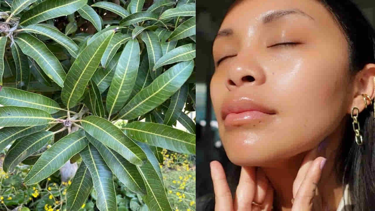 Mango leaves: మచ్చలేని చర్మానికి మామిడి ఆకుల మంత్రం..! ఇలా వాడితే ముఖంలో మెరుపు ఖాయం..!!