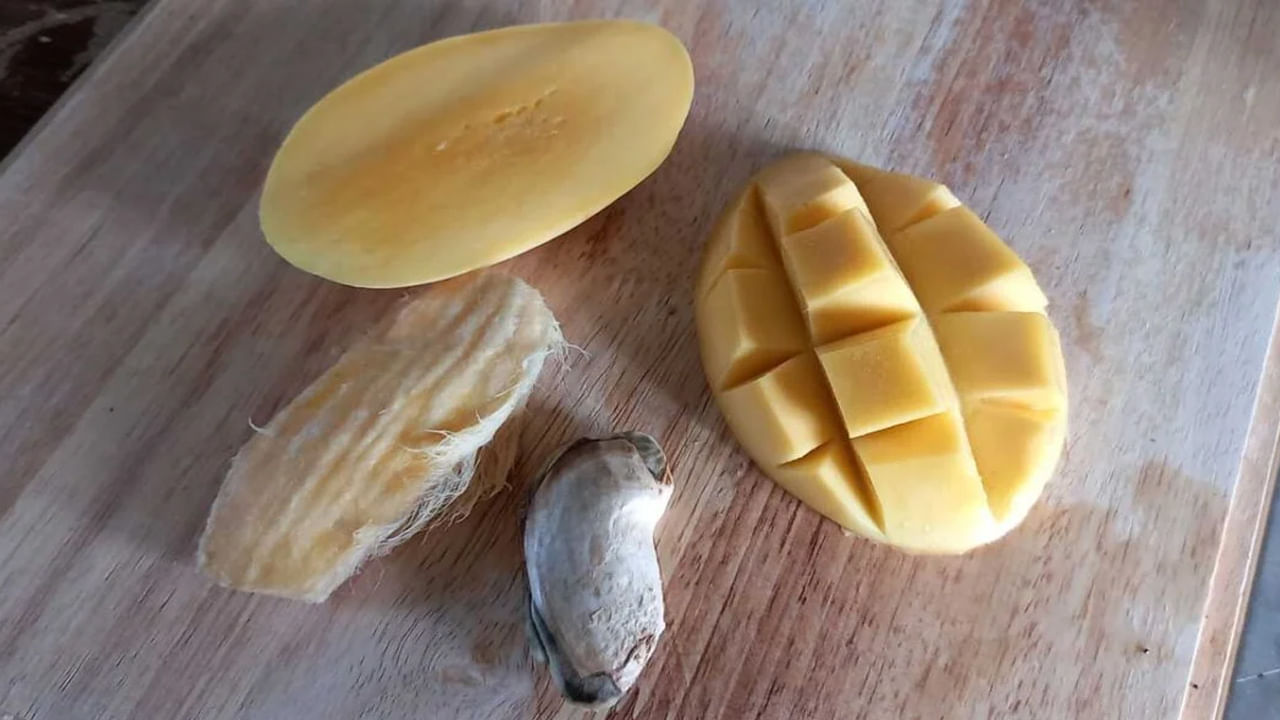 మామిడి గింజల్లో ఉండే విటమిన్లు, యాంటీఆక్సిడెంట్లు రోగనిరోధక శక్తిని పెంచుతాయి. ఇది శరీరం సంక్రమణతో పోరాడటానికి సహాయపడుతుంది. కాబట్టి మామిడి టెంకను పడేయకుండా ఉంచండి. కాలేయ ఆరోగ్యానికి మామిడి టెంకలో కాలేయాన్ని నిర్విషీకరణ చేసే లక్షణాలు ఉంటాయి. ఇవి శరీరం నుండి విషాన్ని తొలగించడంలో సహాయపడతాయి. ఇది కాలేయ ఆరోగ్యాన్ని మెరుగుపరుస్తుంది.