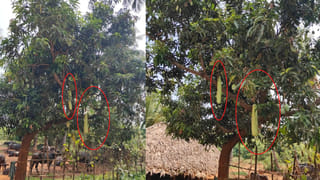 అయ్యో భగవంతుడా.. మంచినీటి కోసం చేయి పెడితే.. ప్రాణమే పోయింది..!