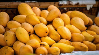 రేపే తెలంగాణకు నితిన్ గడ్కరీ రాక..! కంప్లీట్ టూర్ షెడ్యూల్, ప్రారంభించనున్న ప్రాజెక్టుల లిస్ట్‌ ఇదే