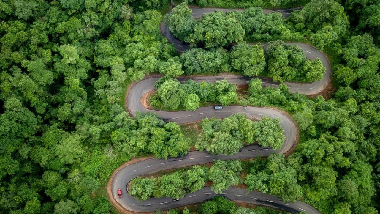 మారేడుమల్లి అడవులు.. రాజమండ్రి దగ్గర ఉన్న ఈ దట్టమైన అడవిలో చిన్న చిన్న జలపాతాలు, ప్రకృతికి దగ్గరగా ఉండే వాతావరణం ఉంటాయి. అడవి మార్గాల్లో నడవడం, ప్రకృతి శబ్దాల మధ్యన మనల్ని మనం మర్చిపోయేలా చేస్తుంది. నిస్సందేహంగా ఒంటరిగా వెళ్లే వారికి ఇది అద్భుతమైన అనుభవాన్ని ఇస్తుంది.