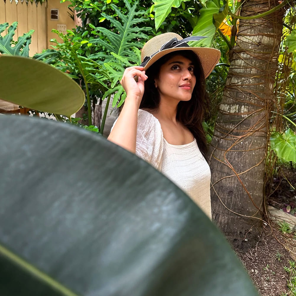 ఆ తర్వాత "ఛల్ మోహన్ రంగ" (2018), "రాజ రాజ చోర" (2021), "డియర్ మేఘా" (2021) వంటి తెలుగు చిత్రాలతో పాటు తమిళంలో "పెట్టా" (2019), "ఎనై నోక్కి పాయుమ్ తోట" (2019), హిందీలో "సాటిలైట్ శంకర్" (2019) చిత్రాలలో నటించింది.