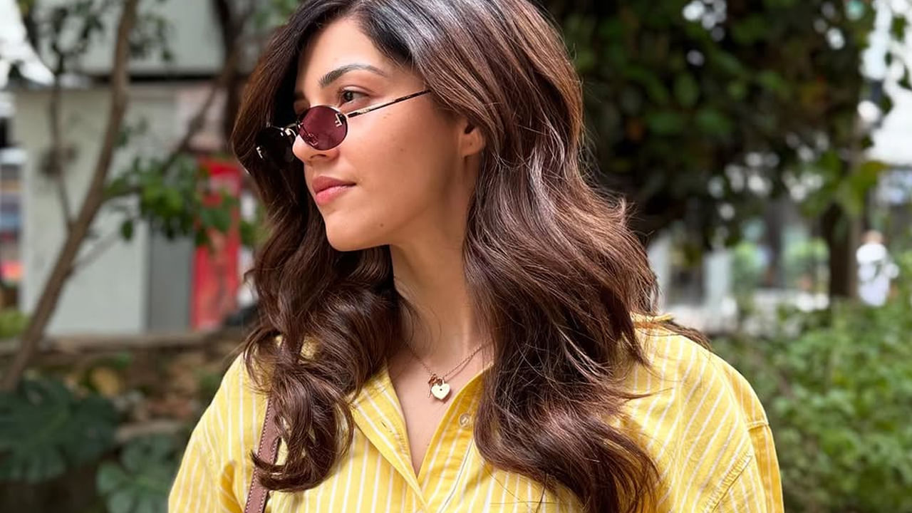 మెహ్రీన్ ఫిర్జాదా గురించి ప్రత్యేకంగా పరిచయం చేయాల్సిన పని లేదు. ఈ అమ్మడు కృష్ణ గాడి వీర ప్రేమ గాథ సినిమా ద్వారా టాలీవుడ్‌లోకి ఎంట్రీ ఇచ్చింది ఈ ముద్దుగుమ్మ. ఇక ఫిల్లౌరీ అనే హిందీ సినిమాతో బాలీవుడ్‌లోకి అడుగు పెట్టింది.