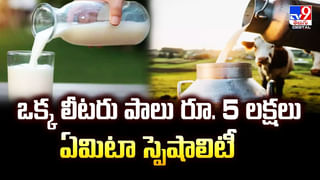 కట్నం వద్దు.. వధువే ముద్దు..వీడియో