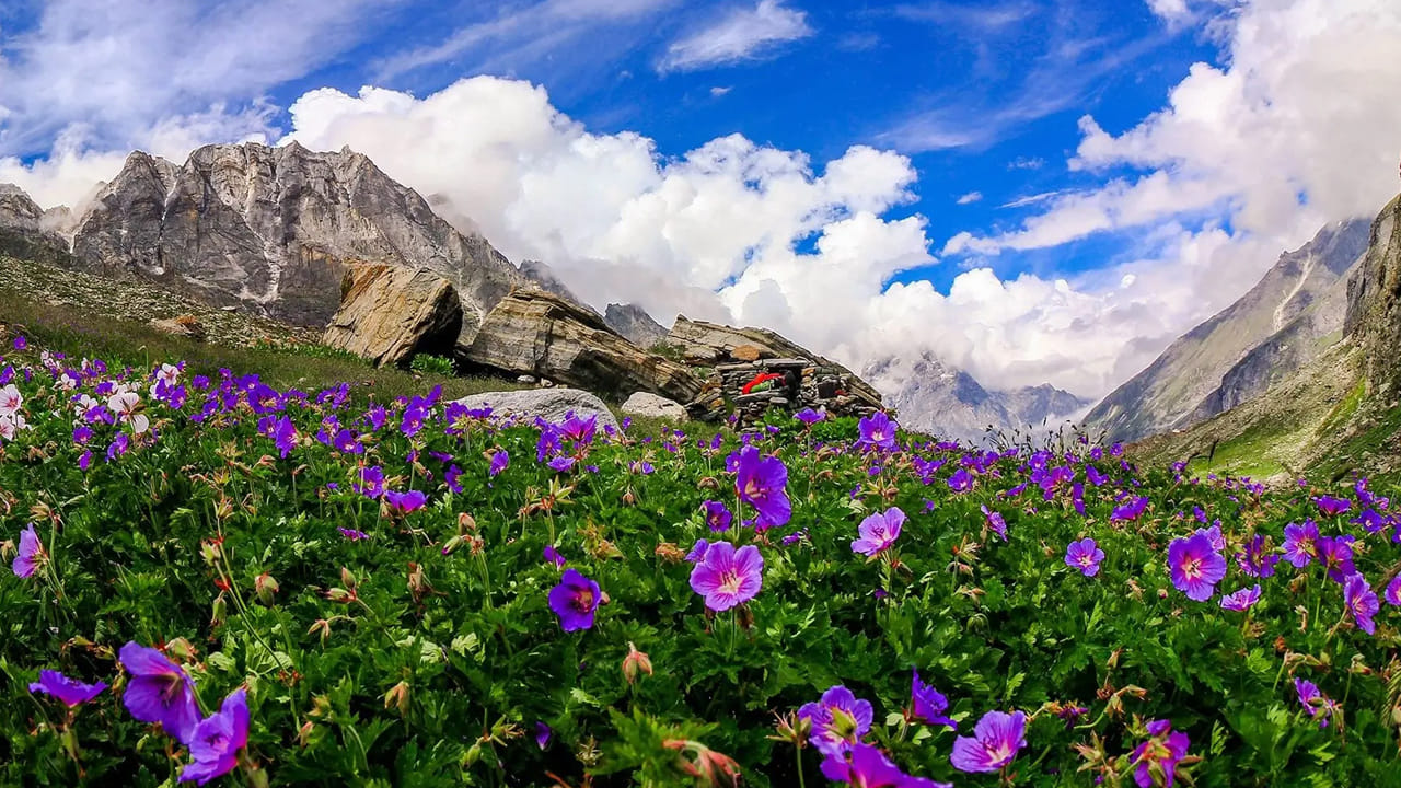 ఉత్తరాఖండ్‌లో ఉంది మినీ కాశ్మీర్‌ . ఉత్తరాఖండ్‌ రాష్ట్రం తన సహజసౌందర్యం కారణంగా దేవభూమిగా పేరుగాంచింది. ఇక్కడి పర్వత శ్రేణులు, నదులు, అరణ్యాలు, ఆధ్యాత్మిక ప్రదేశాలు పర్యాటకులను ఎక్కువగా ఆకర్షిస్తాయి. అందుకే ఏ యేడు కాయేడు ఇక్కడికి వచ్చే పర్యాటకుల సంఖ్య అంతకంతకూ పెరుగుతూ వస్తోంది. ఈ వేసవిలో కాశ్మీర్‌కు బదులుగా ఉత్తరాఖండ్‌లోని మున్సియారి వెళ్లడం ఒక ఉత్తమ ప్రత్యామ్నాయం అవుతుంది.