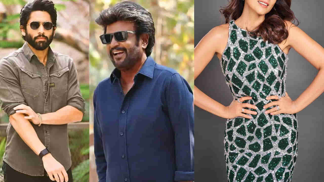 Naga Chaitanya: నాగచైతన్యకు కోడలిగా, రజినీకాంత్ ప్రియురాలిగా నటించిన ఏకైక హీరోయిన్.. ఇప్పటికీ తగ్గని క్రేజ్..