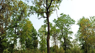 Garuda Puran: గరుడ పురాణం ప్రకారం 36 రకాల నరకాలు.. పరపురుషుడితో సంబంధం పెట్టుకున్న స్త్రీకి ఎటువంటి శిక్షలో తెలుసా..