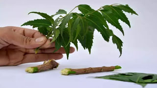 Beetroot Juice: ఉదయాన్నే ఖాళీ కడుపుతో ఈ జ్యూస్‌ తాగితే బోలెడన్నీ బెనిఫిట్స్‌.. తెలిస్తే..