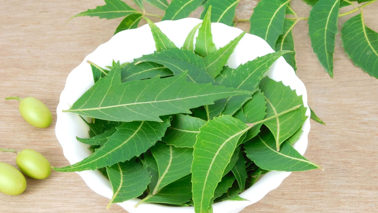 వేపాకుల్లో చేదు సమ్మేళనాలు ఉంటాయి. ఇవి రక్తంలోని టాక్సిన్స్, మలినాలను బయటకు పంపేందుకు సహాయపడతాయి. రక్తాన్ని శుద్ధి చేస్తాయి. వేపాకులు తినడం వల్ల శరీరంలోపల ఉండే విష పదార్ధాలు శుభ్రమౌతాయి. వేపాకులు తినడం వల్ల కొన్ని రోజుల్లోనే చర్మం నిగారింపు వస్తుంది. పింపుల్స్ సమస్య ఎక్కువగా ఉన్నవారికి ఇది చాలా మంచిది. 