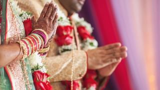 Mosquito Repelling Plants: దోమల సమస్యతో ఇబ్బంది పడుతున్నారా.. ఈ మొక్కలతో చెక్ పెట్టవచ్చు అని తెలుసా..