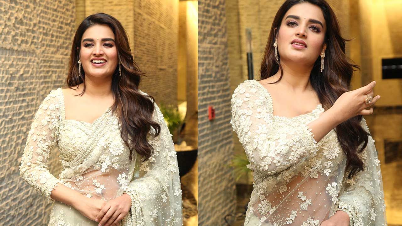 2017 లో మున్నా మైఖేల్ అనే హిందీ సినిమాతో నటిగా ఇండస్ట్రీలోకి ఎంట్రీ ఇచ్చిన ఈ బ్యూటీ. తర్వాత అక్కినేని నాగచైతన్య నటించిన సవ్వసాచి అనే సినిమాతో టాలీవుడ్ లోకి ఎంట్రీ ఇచ్చింది.ఈ సినిమాలో నటించినప్పటికీ ఈ అమ్మడుకు అంతగా గుర్తింపు రాలేదు అనే చెప్పాలి.