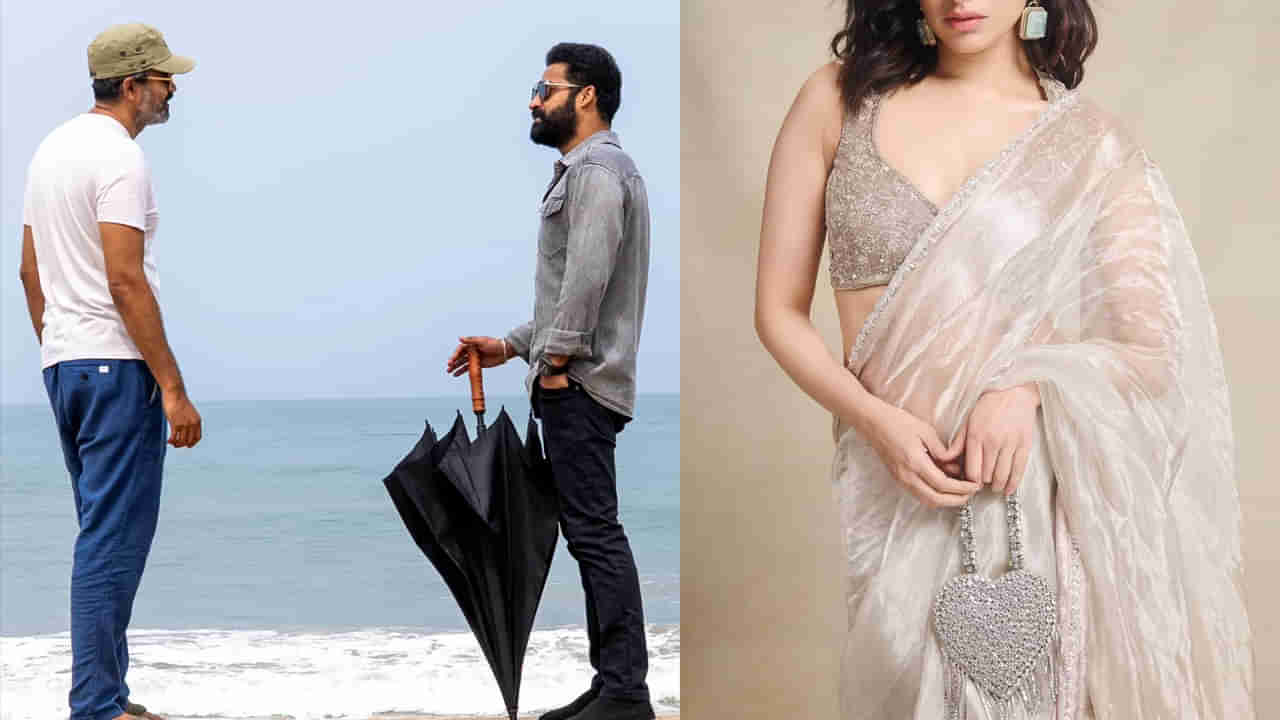 Jr.NTR: తస్సాదియ్యా.. ఇది క్రేజీ కాంబో అంటే.. ఎన్టీఆర్ సరసన బాలీవుడ్ టాప్ హీరోయిన్..