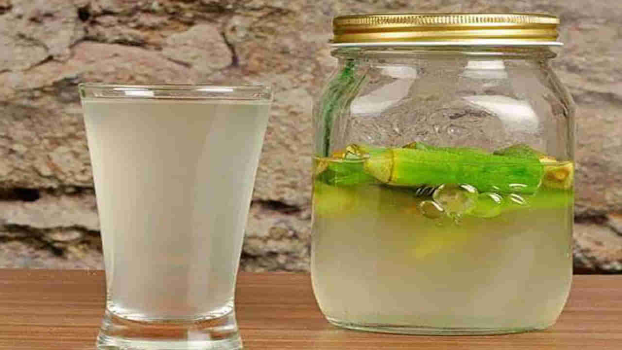 Okra Water Benefits : బెండకాయలను రాత్రంతా నీటిలో నానబెట్టండి.. ఉదయం తాగితే ఫుల్ బెనిఫిట్స్..