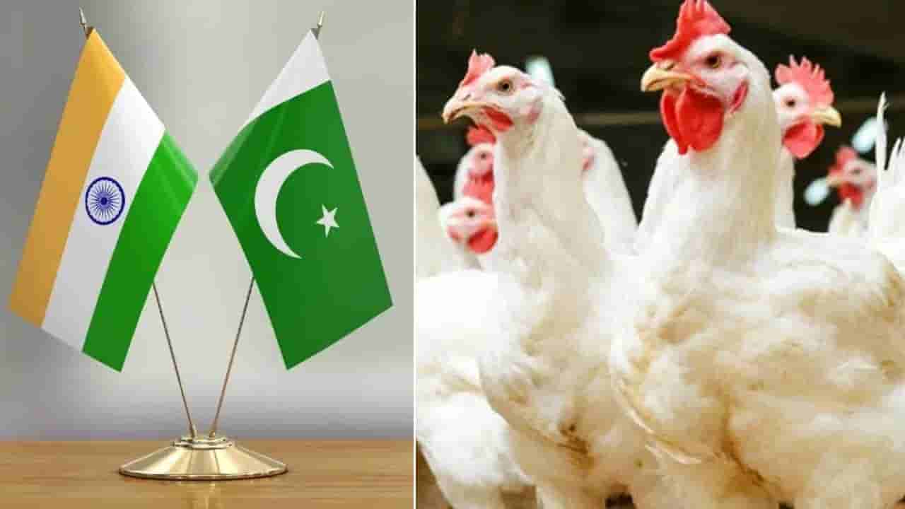 చికెన్ కిలో రూ.800.. భారత్తో పెట్టుకుంటే ఇట్టే ఉంటుంది మరి.. పాక్కు దిమ్మతిరిగిపోయిందిగా..