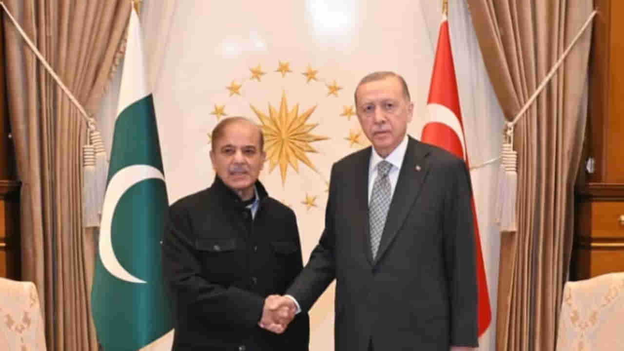 టర్కీకి వందల కోట్ల నష్టం! సామాన్య భారతీయుల దెబ్బ అదుర్స్‌ కదూ..!