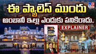 Viral Video: అమ్మ బాబోయ్.. పామును అమాంతం మింగేసిన తాబేలు.. వీడియో చూస్తే షాకే